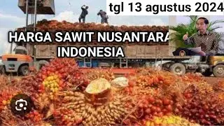 harga sawit hari ini terbaru tgl 13 agustus 2024 harga wilayah nusantara indonesia