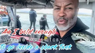 Shark Tank Adventures in Cape Town, ZA with Marine Dynamics @MarineDynamicsSharkTours