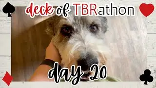 Deck of TBRathon VLOG || day 20: pretty puppies!