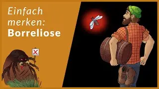 Borreliose schnell lernen | Eselsbrücken für Infektiologie