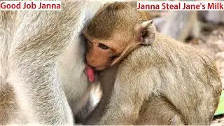 Stealing by Hungry ! Poor Disable Janna can't found enough food, So she try to steal milk from mom