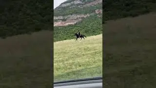 Бандит скинул меня в третий раз 😁