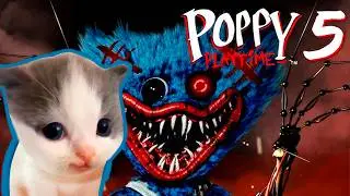 НЕУЖЕЛИ POPPY PLAYTIME CHAPTER 5 СЕГОДНЯ! Прохождение с Вилли