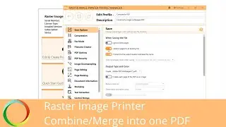 Combine and Merge Multiple Files into One PDF | Raster Image Printer 12 | PEERNET