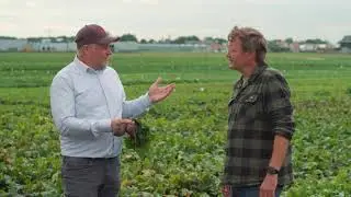 Customer Talk with Agro-Ekspert (PL) - No.1 brix-level in red beet - sugar is taste