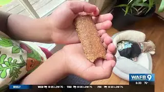 CONSUMER REPORTS: Kids summer snack bars