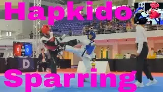 Hapkido sparring competition World Championships 2024 part 03