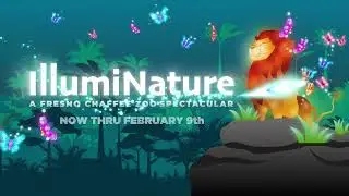 IllumiNature Lunar New Year 2024 - English :30