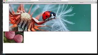 09 Slide Show Next Previous Button