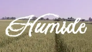 humide