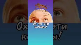 За что я не люблю лето, или эти противные комары