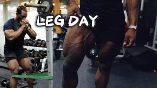 Leg Day Made Easy: My Favorite Basic Exercises
