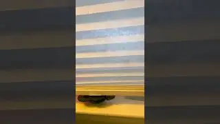 DIY super cheap smart blinds
