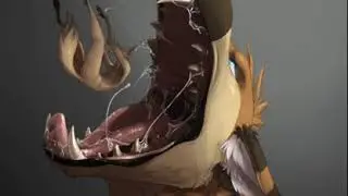 Some random vore