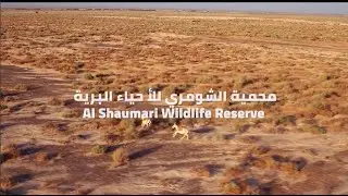 Al Shaumari Wildlife Reserve