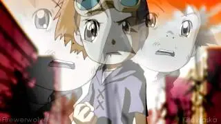 Digimon Tamers - Collab (Firewerwolve x Kitovraska)