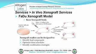 Altogen Labs FaDu Xenograft Service Head and Neck Cancer (HNSCC)