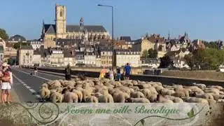 Nevers: A Hidden Gem Near Magny-Cours F1 Circuit - History and High-Speed Thrills