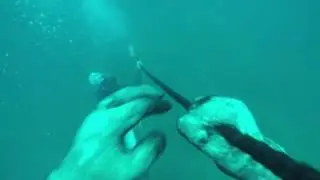 Scuba dive to 18m depth - GoPro