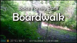 Boice Family Town Park Boardwalk Build