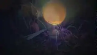 Conforce - Predictable Coincidence (original mix)