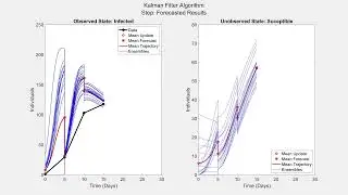 Ensemble Kalman Filter Algorithm Visualized