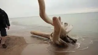 Canada Day at the beach