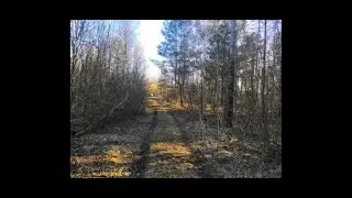 Влад Бахов.Что увидел отец Влада на могиле.