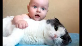 Малыши и котики! Какая гармония!