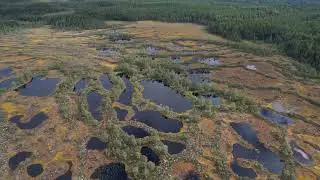 Häckelsängs högmosse och Gnagmur Naturreservat