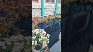 7 ноября южный урал + 10
