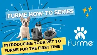 Introducing your pet to furMe - Acclimation Steps
