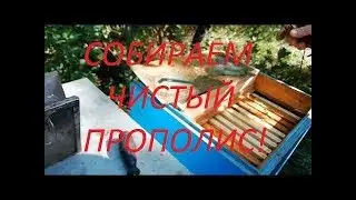 Замена прополисных сеток