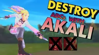 Akali: The ADC Deleter