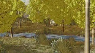 Forest Scene Test