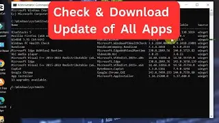 Hidden CMD Trick: Check & Install All Software Update Using One Command on Windows