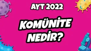 AYT Biyoloji - Komünite Nedir? | AYT Biyoloji 2022 