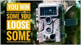 TrailCam PickUp - You Win Some You Loose Some