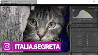 COMPOSIZIONE fotografica - Come migliorare una FOTO sbagliata