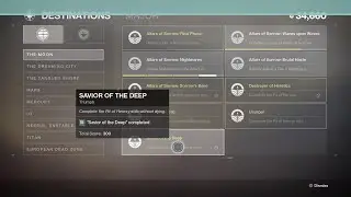Flawless Solo Pit of Heresy, Savior of the Deep Triumph