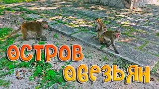 Дорога на Остров Обезьян в Нячанге - Вьетнам