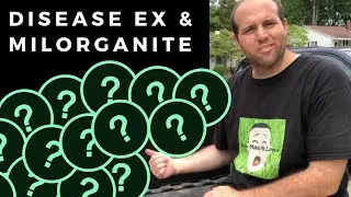 Scotts Disease Ex and Milorganite Memorial Day Application