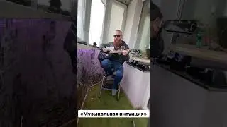 Музыкальная интуиция. Интро