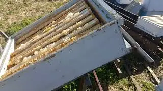 Промышленное пчеловодство. Воздуходувка