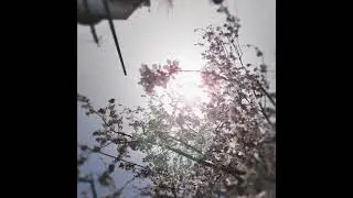 𝑶𝒗𝒆 - 𝑰𝒎𝒑𝒆𝒓𝒎𝒂𝒏𝒆𝒏𝒄𝒆