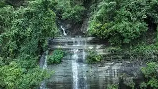 নয়া দালান