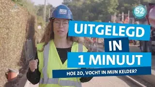 Uitgelegd in 1 minuut - Vocht in je kelder na rioleringswerken?