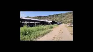 Carabao farm visit nueva ecija