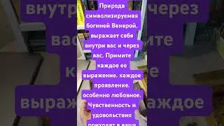 Карта дня 25.08.24#sorts
