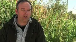 The Future of Online Video by Tim Street Part 3